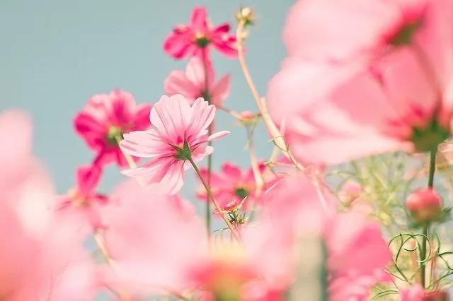 特别温暖的早安句子