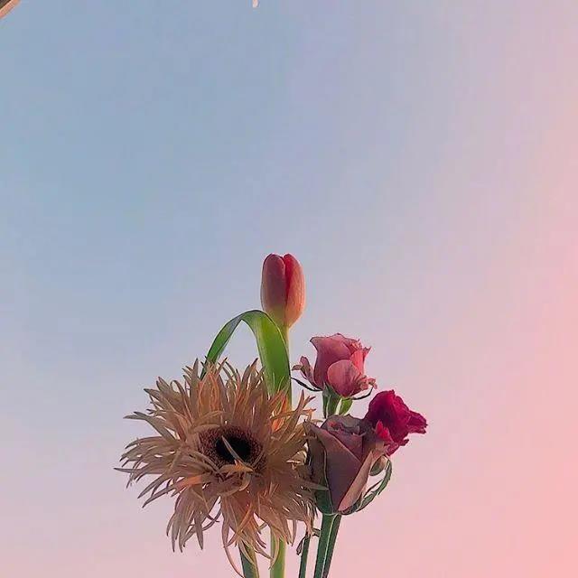 生病和发烧谈论朋友1