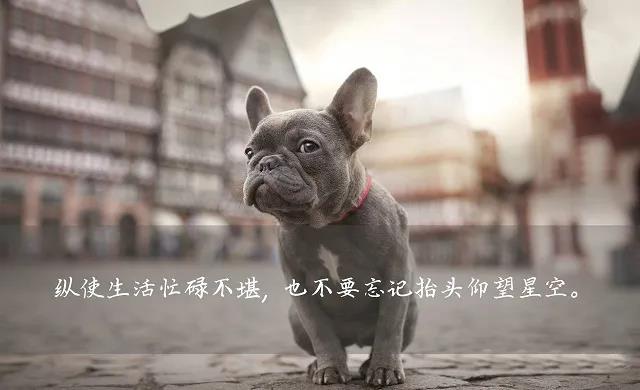 句子1到他自己的励志努力工作