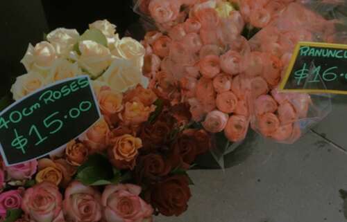 激励积极的能量判决