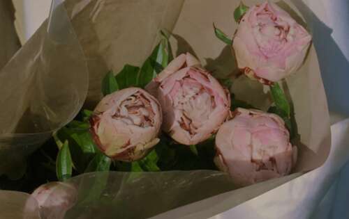 24.在年龄之前，你可以依靠身体的身体，小聪明和老人给你的运气。众所周知，在一定年龄后，它是自律和勤奋的。