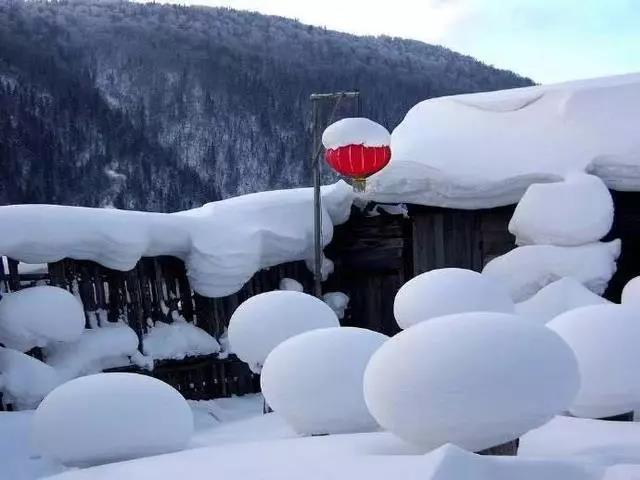 抄写朋友圈在雪地上