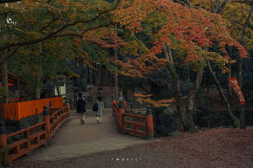 15.你抓住你的鸡脚，指向我，我不知道，我不知道我是否不喜欢罩子的味道。