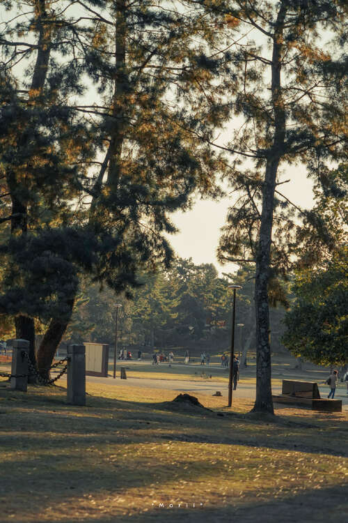 18，我吃了我的小吃，我的肉，你是什么，你嫉妒或嫉妒什么？