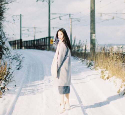 复制文件一起看到雪