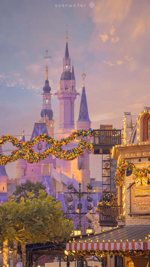 15.观察地球人类观察18岁。