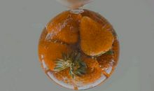 心灵鸡汤正能量短句