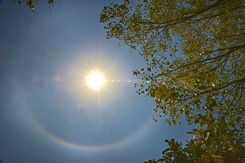 夏天中午问候短信1