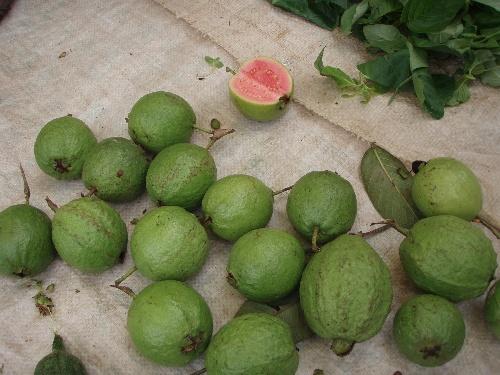 美容院问候短信SMS客户2