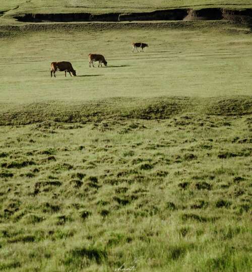 10，虽然没有人，但我希望将来，我可以在你的记忆中添加一个很好的记忆，我可以通过这一生来练习世界的爱。
