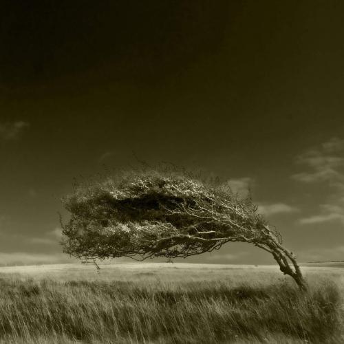 失望的心痛句子1