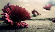 朋友圈情绪说说