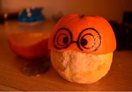 “橙色不是唯一的水果”经典报价1