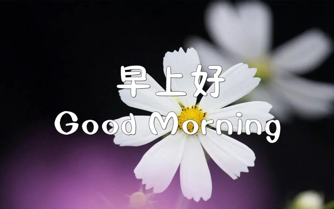 早上好，温暖的短句