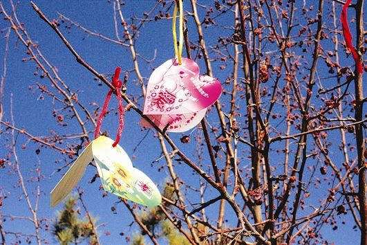 15，亲爱的姐姐，愿你有一个美好的一年，香;愿我在翅膀上的祝福，飞向你;我希望幸福是好的，世界是第一个;祝你幸福永远不会离开，幸福是溢出！