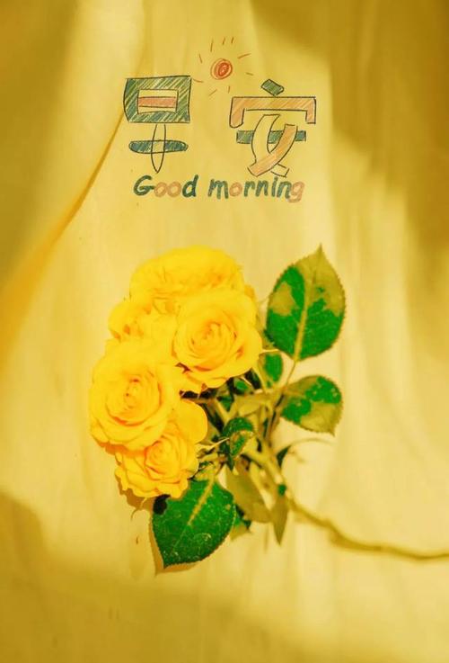 15.檀香木正在学习，它很清楚。你想基于社会，首先，你必须学会​​成为人。我们没有听黑暗的夜晚。让我给你二十个人是一个人的真理，很容易说;但我想做二十个。文学，这个“智慧”“”同义词，也有自己的节日，让我拒绝并与之居住。早上好！