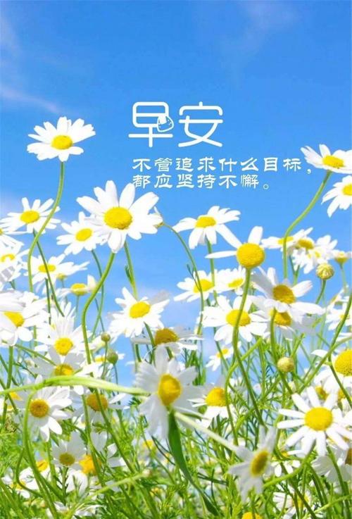 精致的早晨，请发短信1