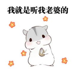 写信给你的妻子