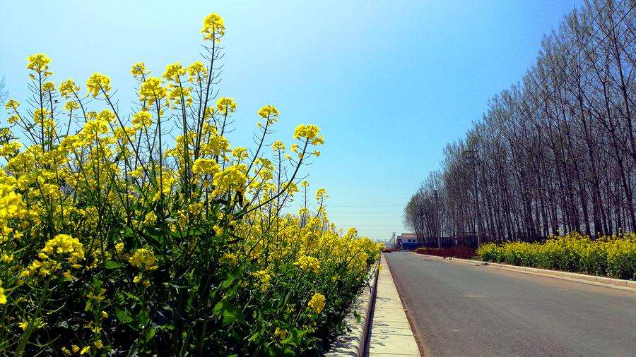 15，李胜，雨，雨，问候，问候，祝福：寒还温暖，不要感冒;经常运动，身体健康;心情放松，别担心;岁的夜晚，更多花更多的新年假期！