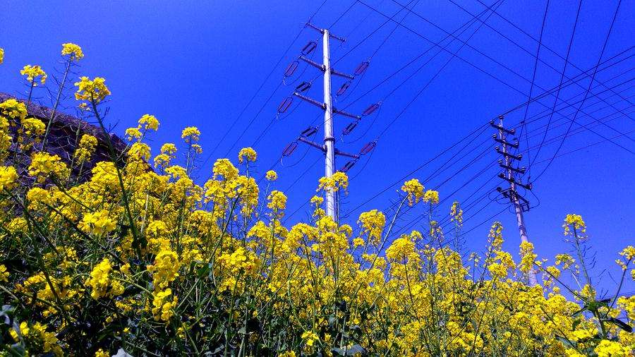 春天天气改变问候短信