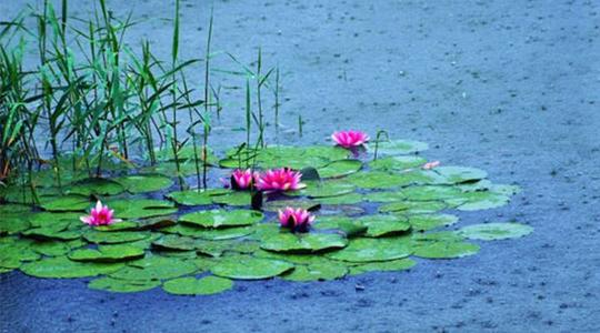 雨天的护理问候