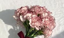 温柔可爱的句子