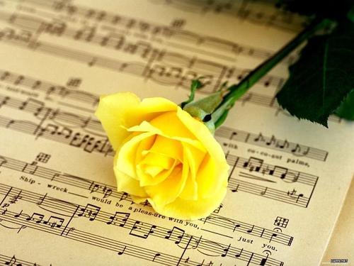 15.天空很冷，心脏温暖，你的祝福是永远的！人们很远，心脏很近，思想是恒定的！愿你每天都有阳光灿烂的笑容。 ，早上好！