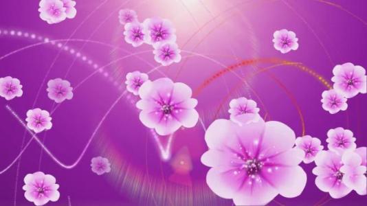 为您的客户提供简单的问候SMS