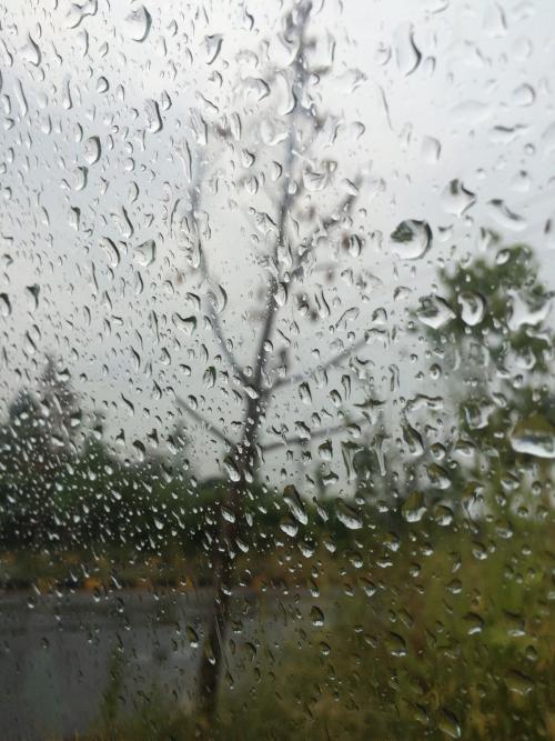 15，雨天，多云的雨，虽然你看不到太阳，你可以让你在家里享受充分的睡眠。雨天，水分充满了，虽然你不能让你离开新鲜空气，但是给你一个陪你的家人的机会。雨天，改变思考，是另一种阳光灿烂的日子。朋友们，祝你在雨天中幸福！