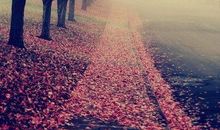 带仇恨心烦的句子