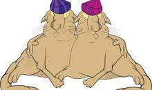 七月与安生描写友情的句子