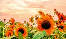 热爱生活的优美句子