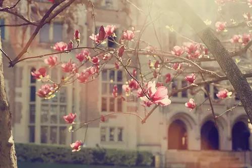 美丽的句子让自己短暂