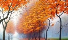 工作不顺心烦的句子