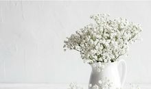 看不惯人和事心烦的句子