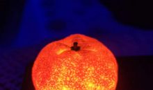 冬日里的小桔灯温暖文艺朋友圈文案