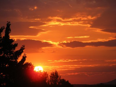 15.如果敌人让你生气，那么你就没有玩过掌握。