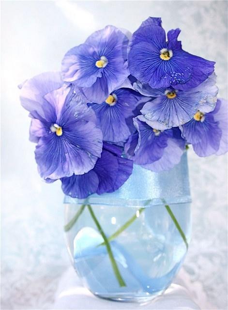 忙碌的生活，不安句子2