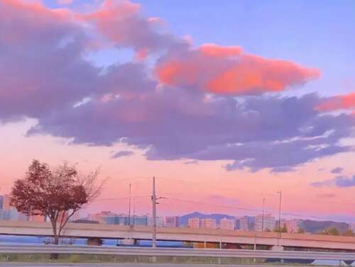 25，总有一个让你觉得值得的人。