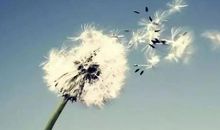 青春追梦人的经典语录