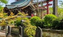 很幸运遇见你的短句子友情