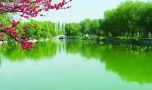 合作中的友情句子