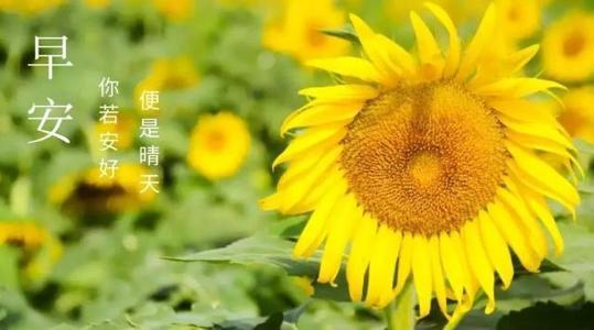 没有太阳的难过句子