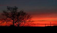 关于友情万岁的句子