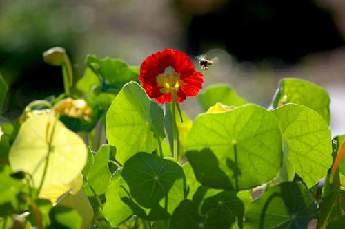 15.人们不能这样做，因为意识形态，经验，感官，一切都不同，就像我说大海很漂亮一样，你说很多人都被淹死了。