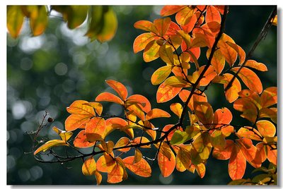 灵魂正在伤害疲惫的句子