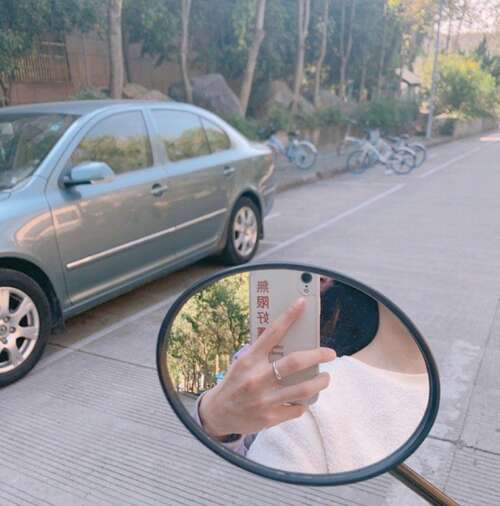 10，出来的房子，必须先通过社区，有几棵海洋风味树木，有一个非常高的海唐树站在一群小海唐，像一个皇帝，站在他的“人”，那里至高无上的权威。但是，当她看到自己的孩子 - 一只年轻的小海洋虎杖时，它实际上更像是一个勇敢而慈爱的母亲，默默地保护他们，覆盖雨的疯狂。