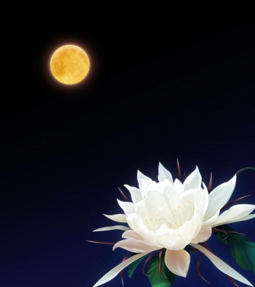 10.所谓的正常心脏是：沮丧，耐受。来吧，它很轻。 Hiroshi，把它放了。怨恨，Anzone。