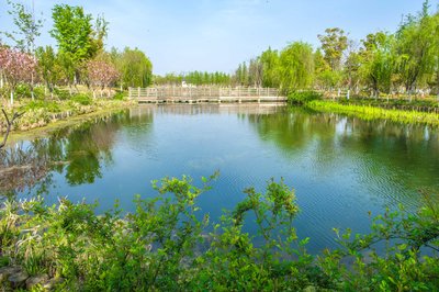 关于友谊的句子