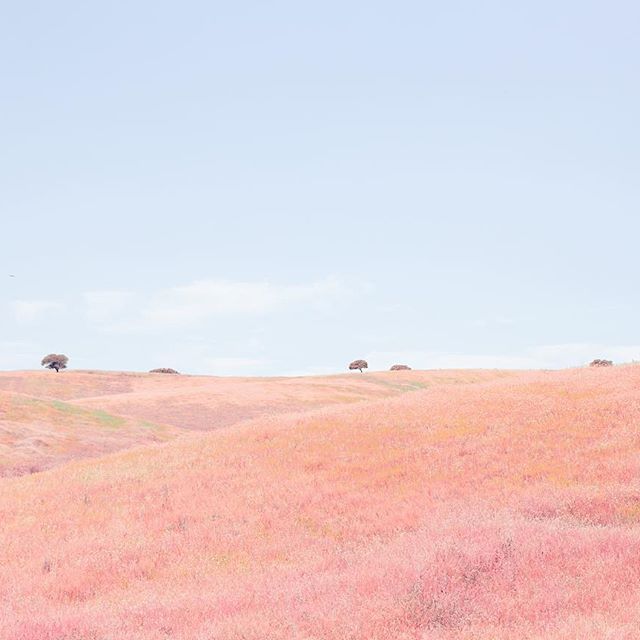 世界温柔美丽的句子